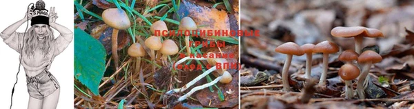 экстази Снежинск