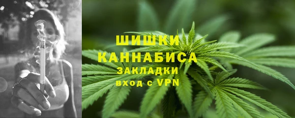 МДПВ Краснослободск