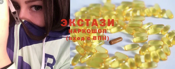 МДПВ Краснослободск