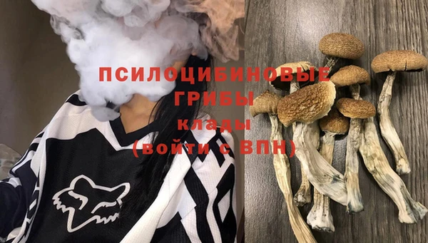 дживик Куйбышев