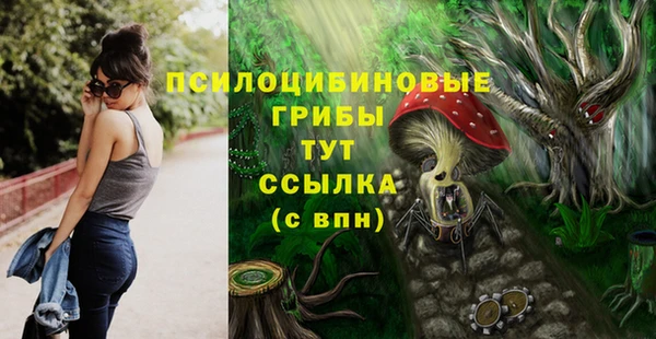 сатива Кукмор