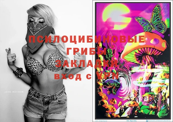 сатива Кукмор