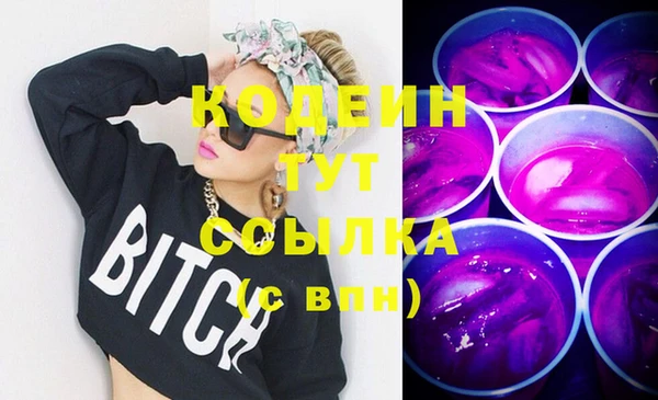 индика Михайловка