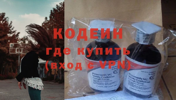 молекула духа Костерёво