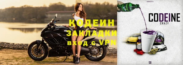 сатива Кукмор