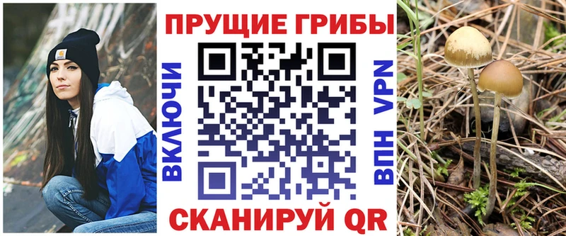 Галлюциногенные грибы GOLDEN TEACHER  Суздаль 